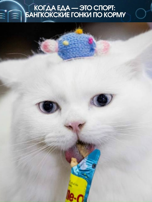 В Бангкоке решили, что спорт — это не только марафоны и...