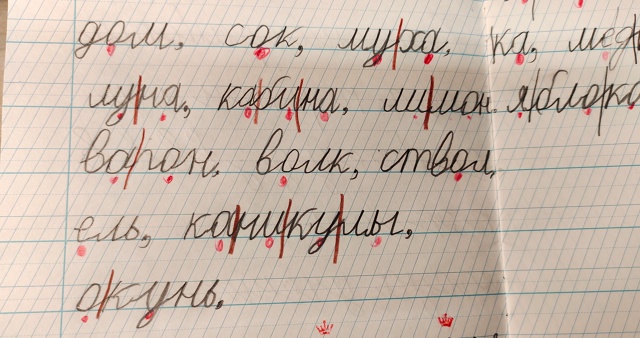 Анонимно, пожалуйста. Занимаюсь со школьником 3 класс. ?...