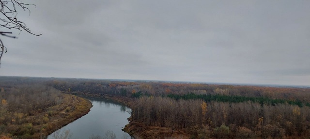 Лес возле Красной Самарки