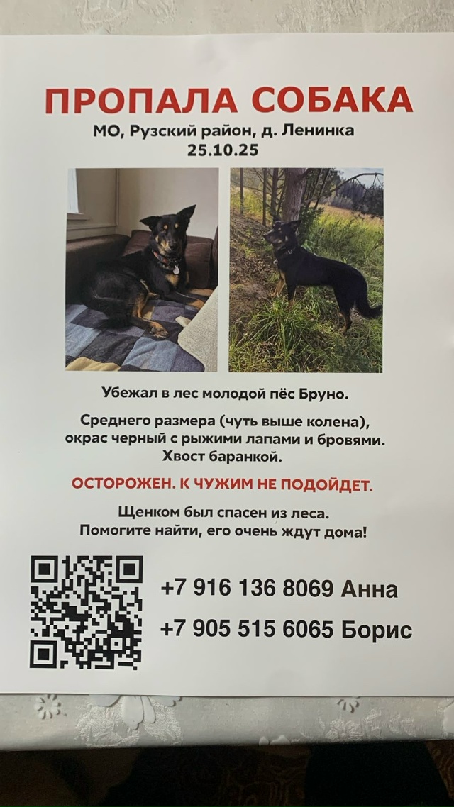 Пропала собака
МО, Рузский район, д. Ленинка‼
25.10.25
Мо?...