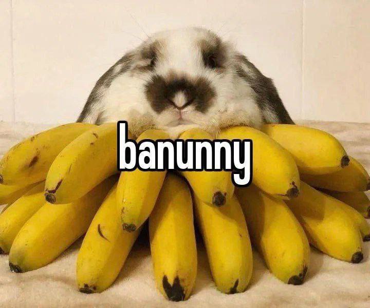 Утренняя подборочка