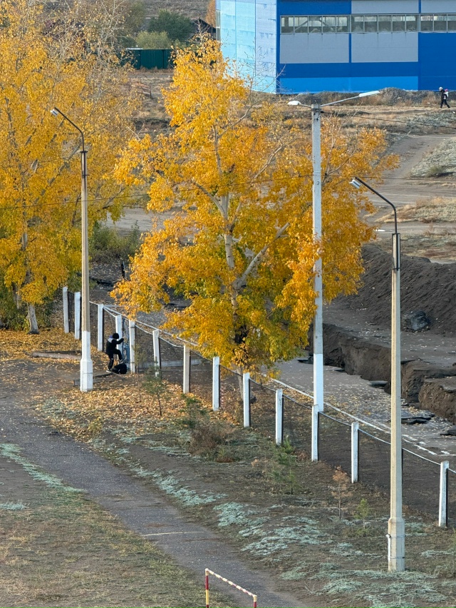 Экии, шупту. Бо ийи дугаар школаже өөренип турар уругла...