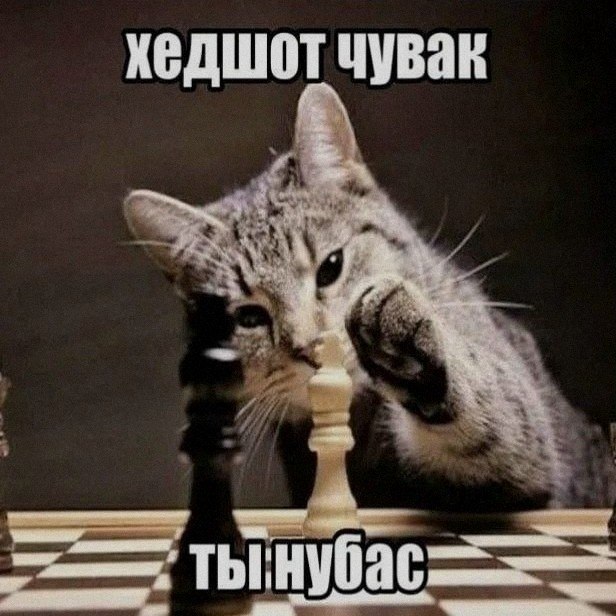 Ночная подборочка
Спать, режим