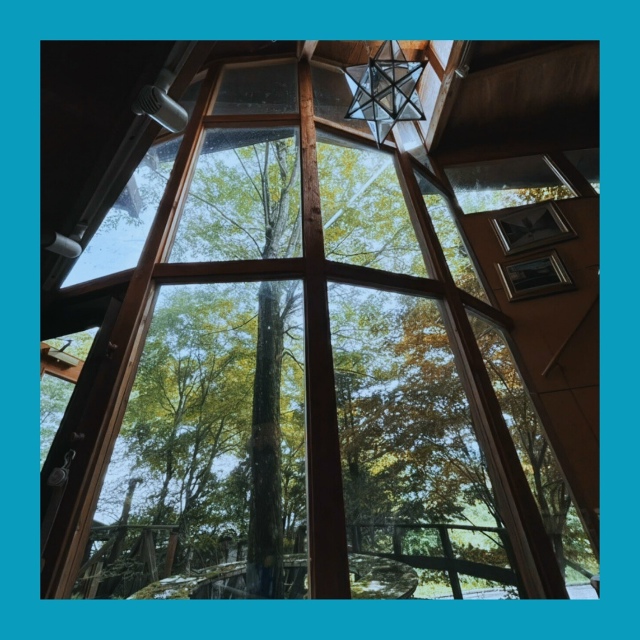 В Японии продают виллу дешевле московской кладовки
В ?...