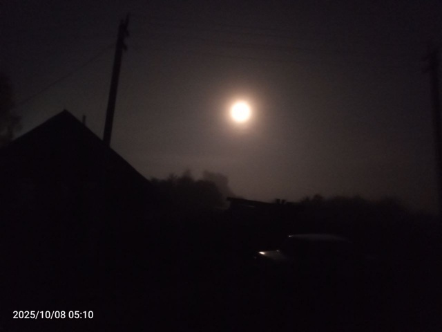 Ночная Асташиха.
Ночь. Туман. Фонарь. Деревня.
Одинока?...