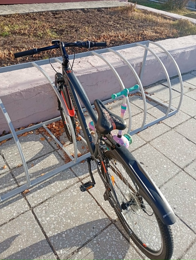 ❗У художественного отделения стоит велосипед и самок?...