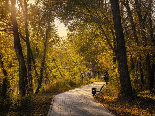 😍 Золотая осень в парке Строителей