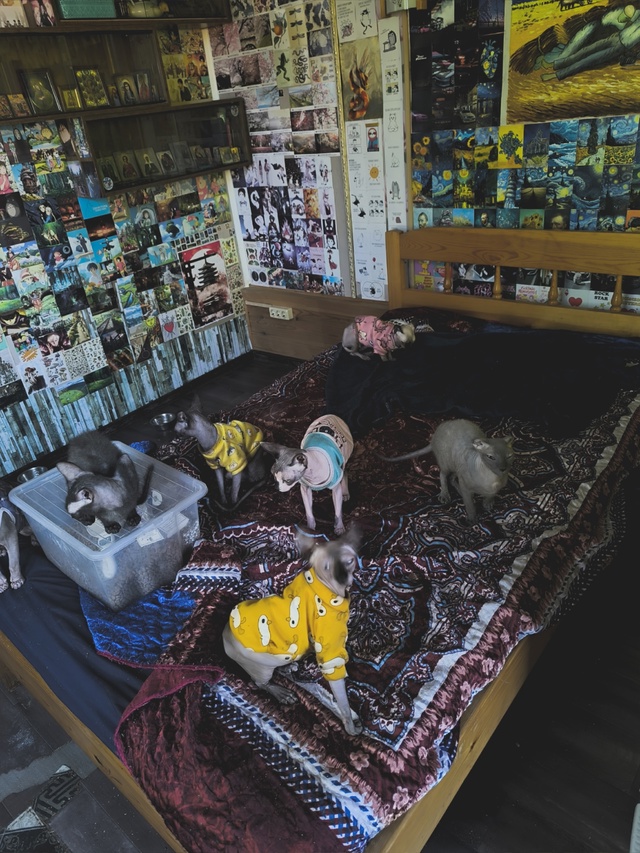 Привет всем.
Банда ?
Пыль,Слон,Пушкин,Грязь,Леопольд,Н...