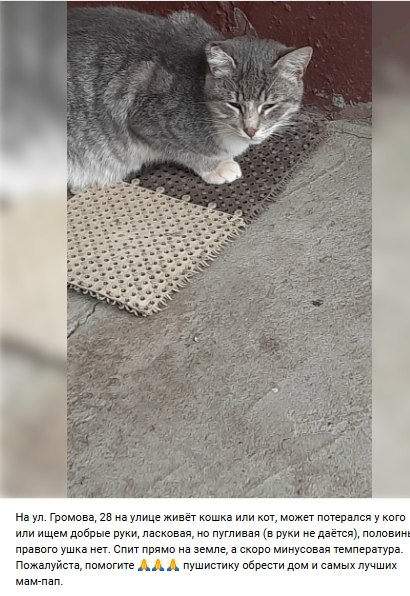 Пост добра. Расспростарните, пожалуйста.