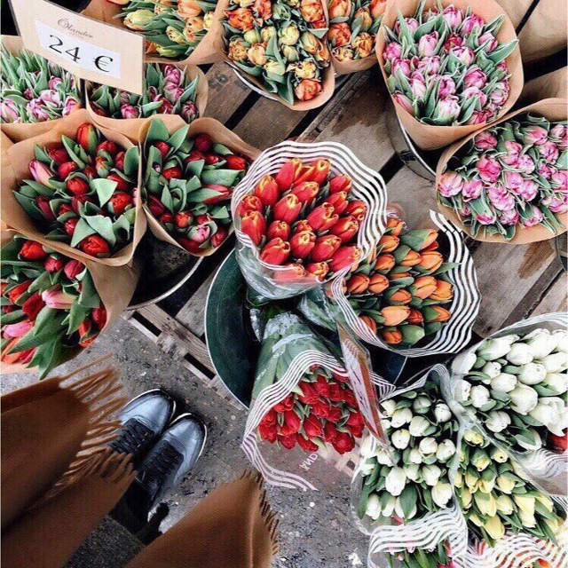 Мысленно сменить зиму на весну и влюбиться.
Эльчин Саф...