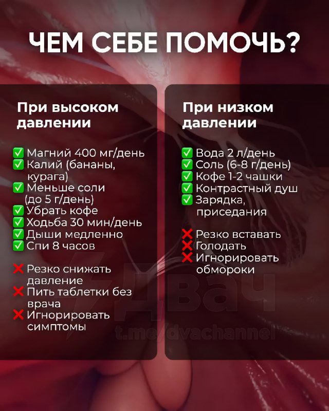 Старики немного за 20, внимание: в Сети собрали всё о давлении.
Если цифры на тонометре вам ни о чё