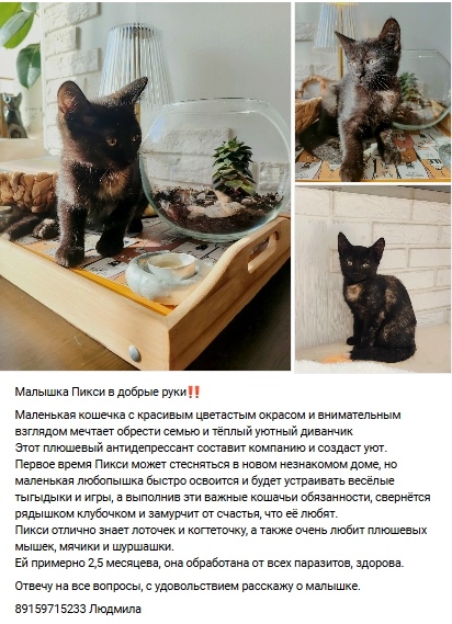 Пост добра. Распространите, пожалуйста.