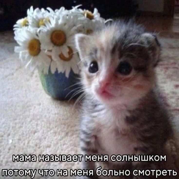 Утренняя подборочка