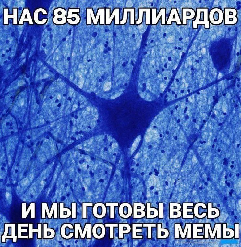 Утренняя подборочка