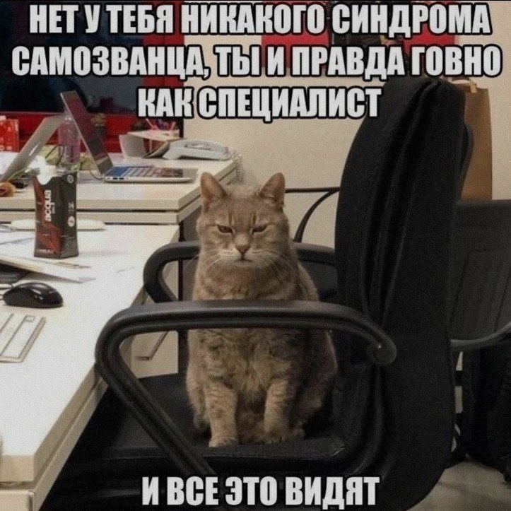 Ночная подборочка
Выходные, не спим