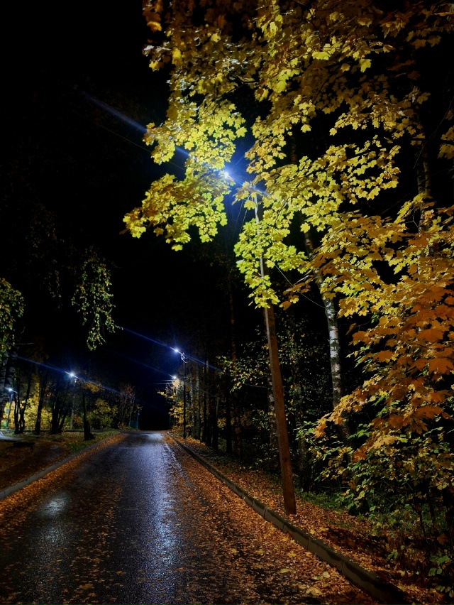 ✨️Моменты осени🍂 город Родники✨️🍁