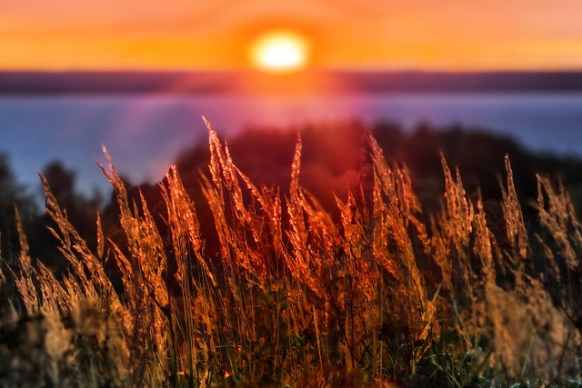 Золотые мгновения осени 🍁🍁🍁