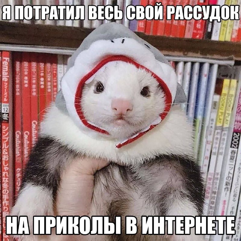 Утренняя подборочка