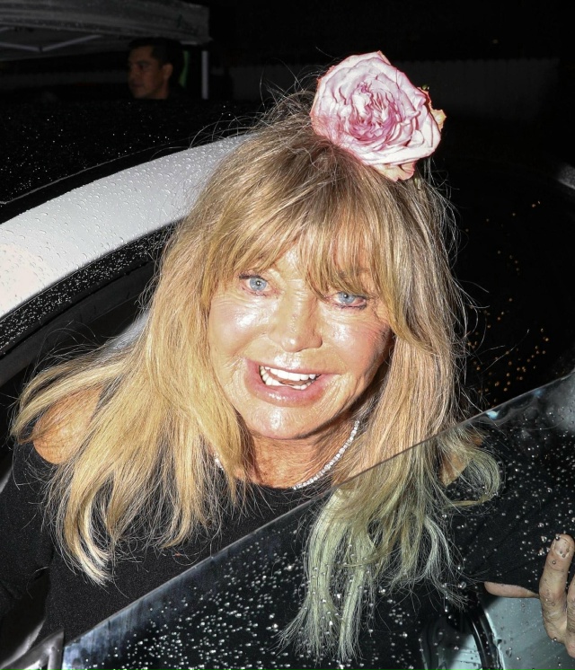 79-летняя Голди Хоун ужаснула публику своим внешним вид...