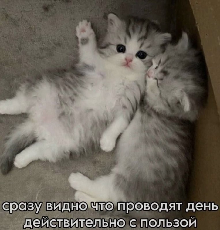 Ночная подборочка
Спать, режим