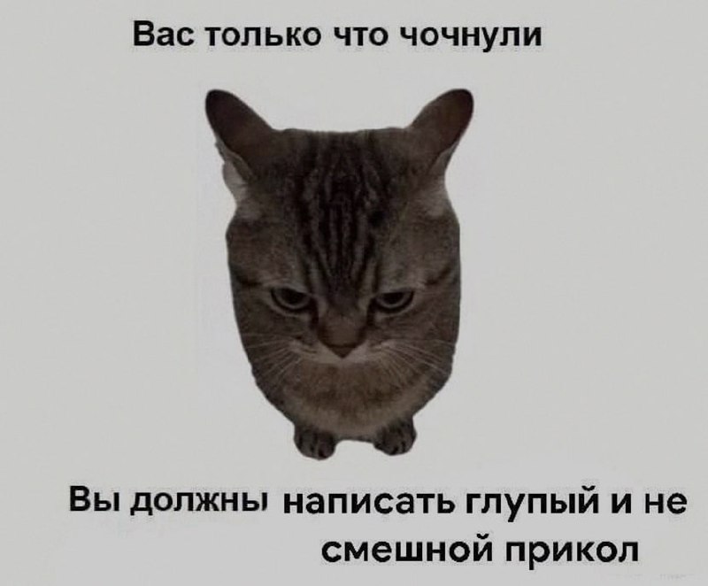 Ночная подборочка
Спать, режим