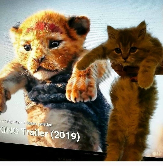 Король Лев...😂