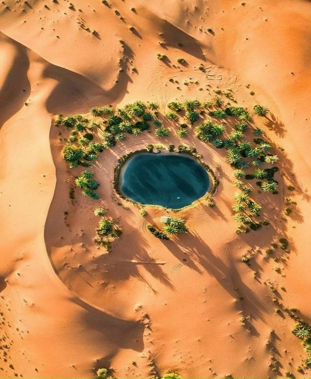 🌍 Оазис Сива — место, где пустыня вдруг оживает.
Среди...