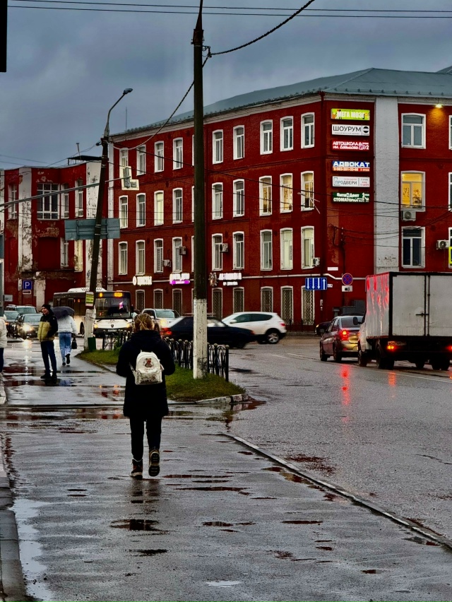 Мокрый снег накроет Подмосковье на выходных. В эти дни ...