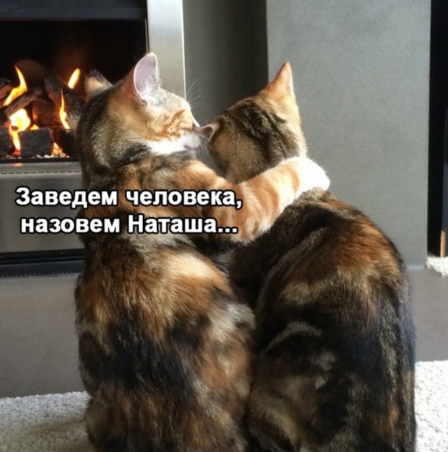 Зачем переживать, все же будет хорошо