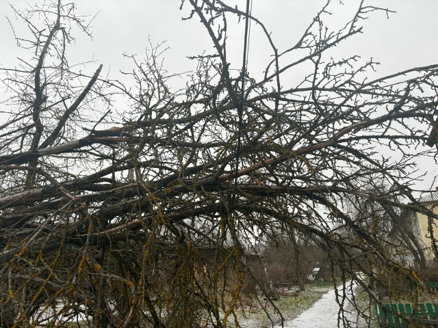 Уважаемые представители администрации и коммунальных...