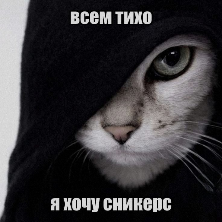 Ночная подборочка
Выходные, не спим