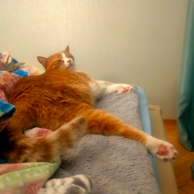 🐾
#егобезейшество