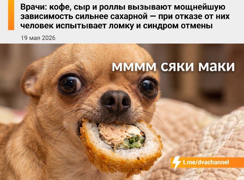 ⚡️Кофе, сыр и роллы вызывают лютую зависимость, которая даже сильнее сахарной — если попытаться с ни