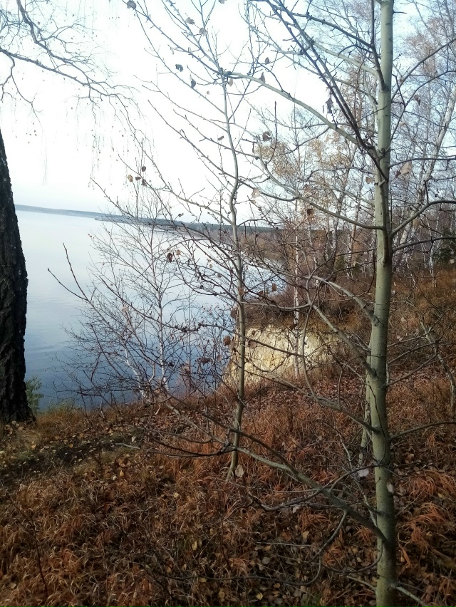 Немного позитива в ленту.На снимках-подборка № 3,прогу?...