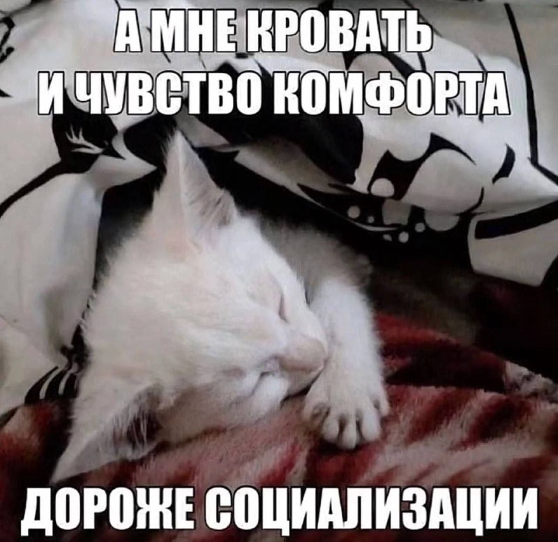 Утренняя подборочка