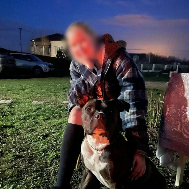 Московскую собачницу оштрафовали за неубранную мочу п...