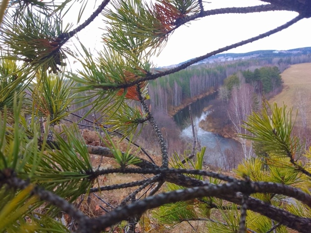 Прогулка с друзьями в районе Косой речки и реки Туры. Н?...