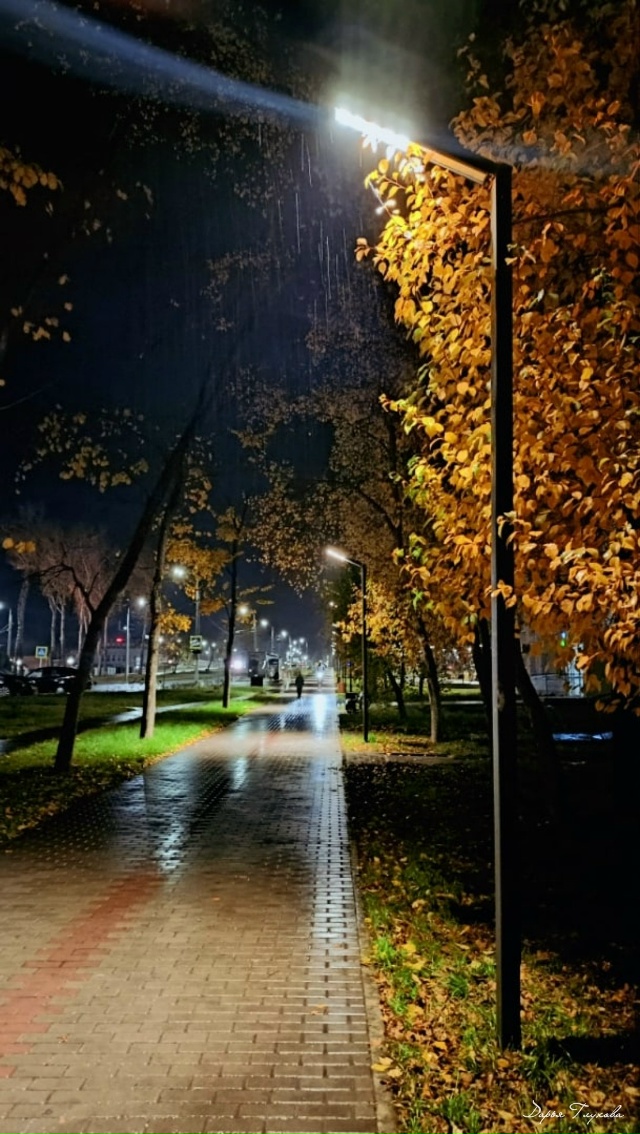 Спокойной ночи ?
Фото: Дарья Глухова