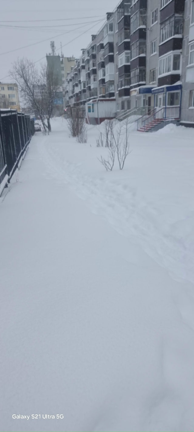 Хотелось бы узнать у градоначальников
1) когда тропинк?...