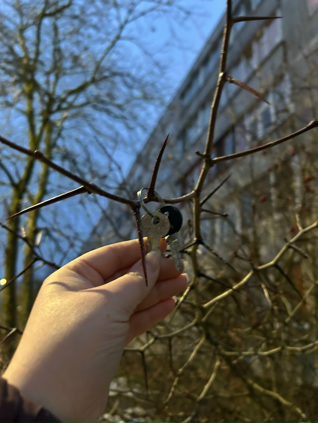 Найдены ключики на углу дома Нахимова, д.5
Анон