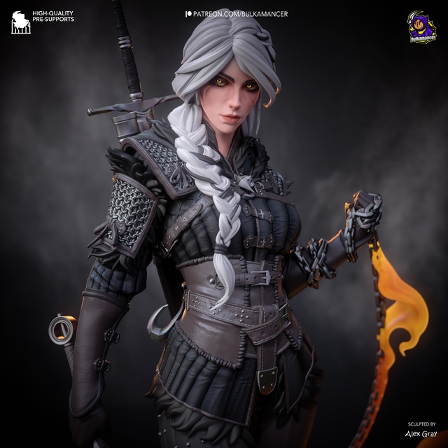 Цири (The Witcher 4)
Добавлена в каталог товаров