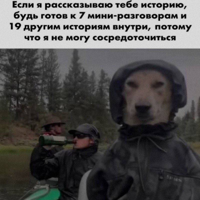 Ночная подборочка
Спать, режим