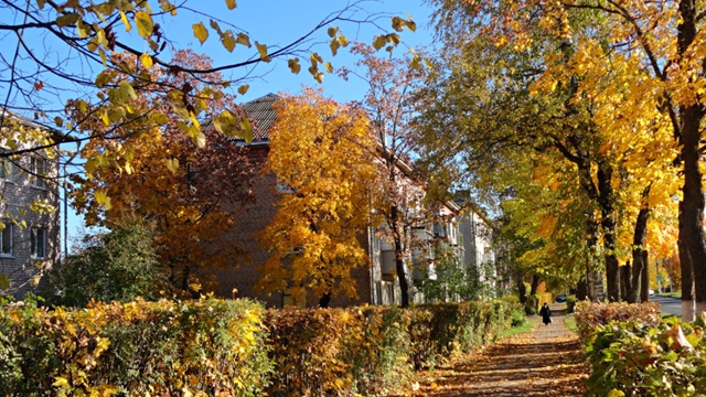 Золотая осень в родном Подпорожье
