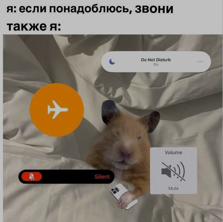 Ночная подборочка
Спать, режим