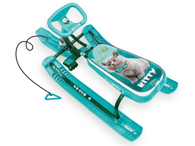 Добрый вечер!
Пропал снегокат,похожий как на фото выше,...