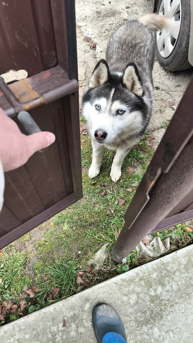 По деревне Константиново Рузского района Московской о...