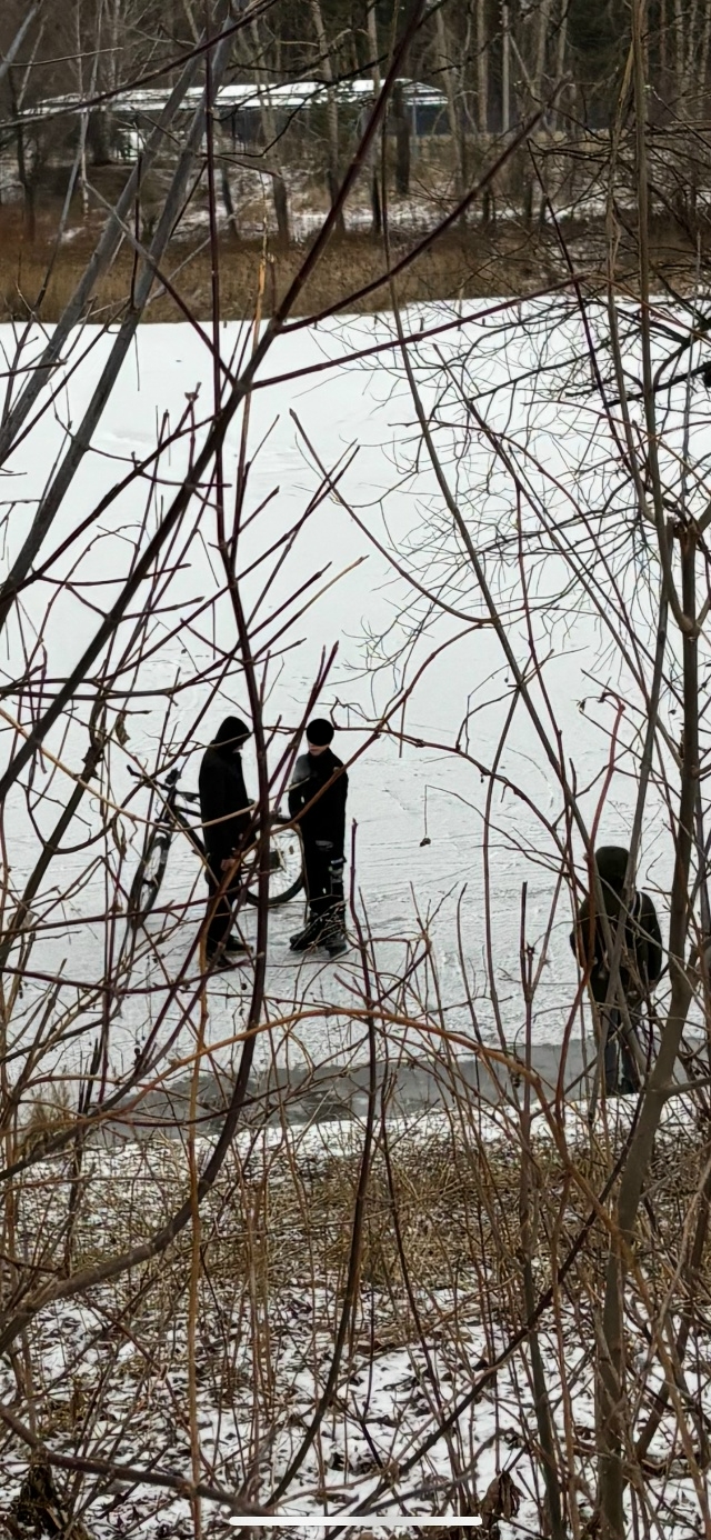 Может кто-то узнает своих детей? На Кротовском озере (к?...