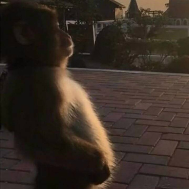 Превращение глубокой привязанности в острую враждебн?...