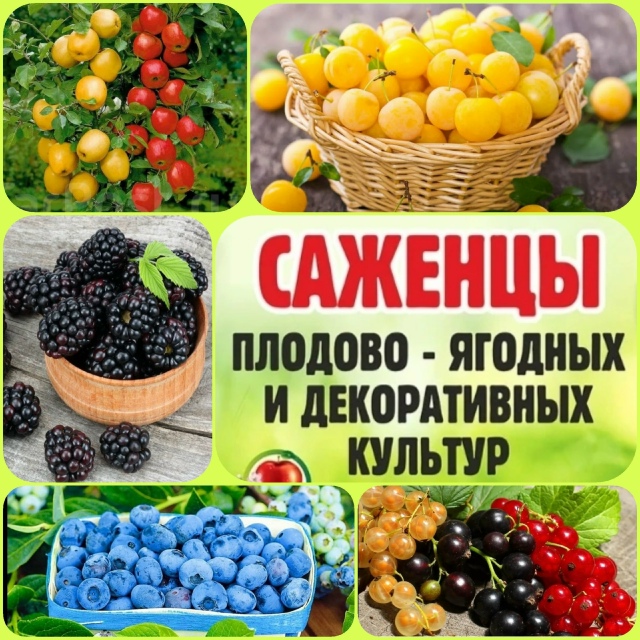 ‼‼️️ ️Вниманию садоводов ‼️ ‼️ 📌 📌 9 и 10 авгус...