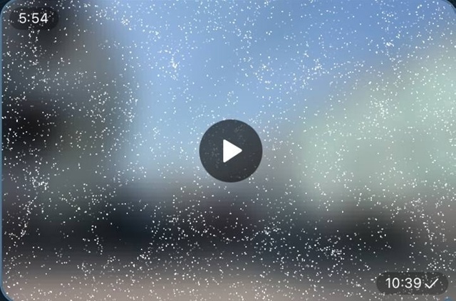 😱 «Гнали через сплошную» — семья погибла в массовом Д...